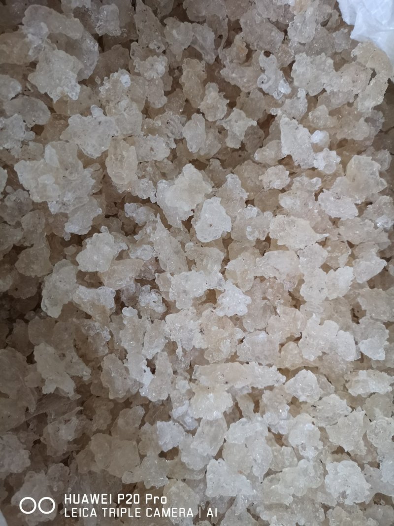 雪燕