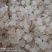 雪燕