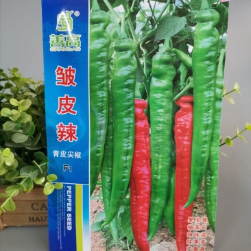 【皱皮辣】一代杂交辣椒种子皱皮大牛角椒种子早熟青皮尖椒种