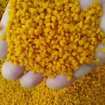 蜂花粉