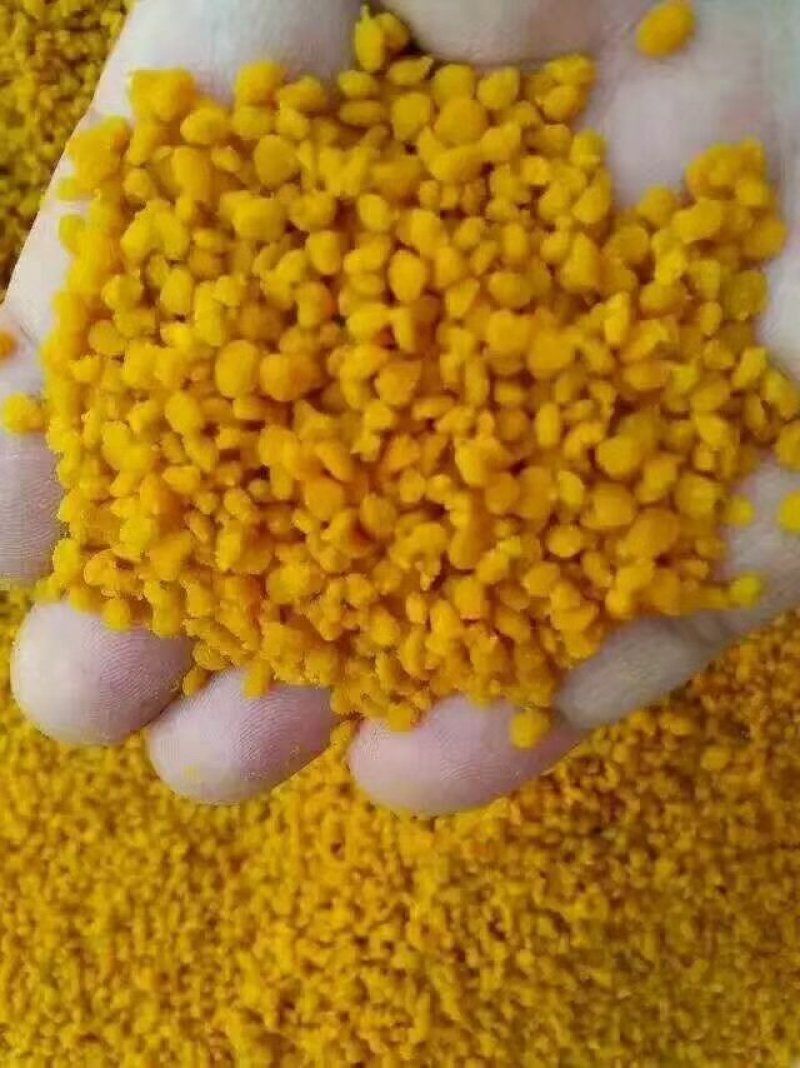 蜂花粉