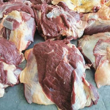 长年批发零售锡盟草地牛肉，照片实物拍摄质量保证