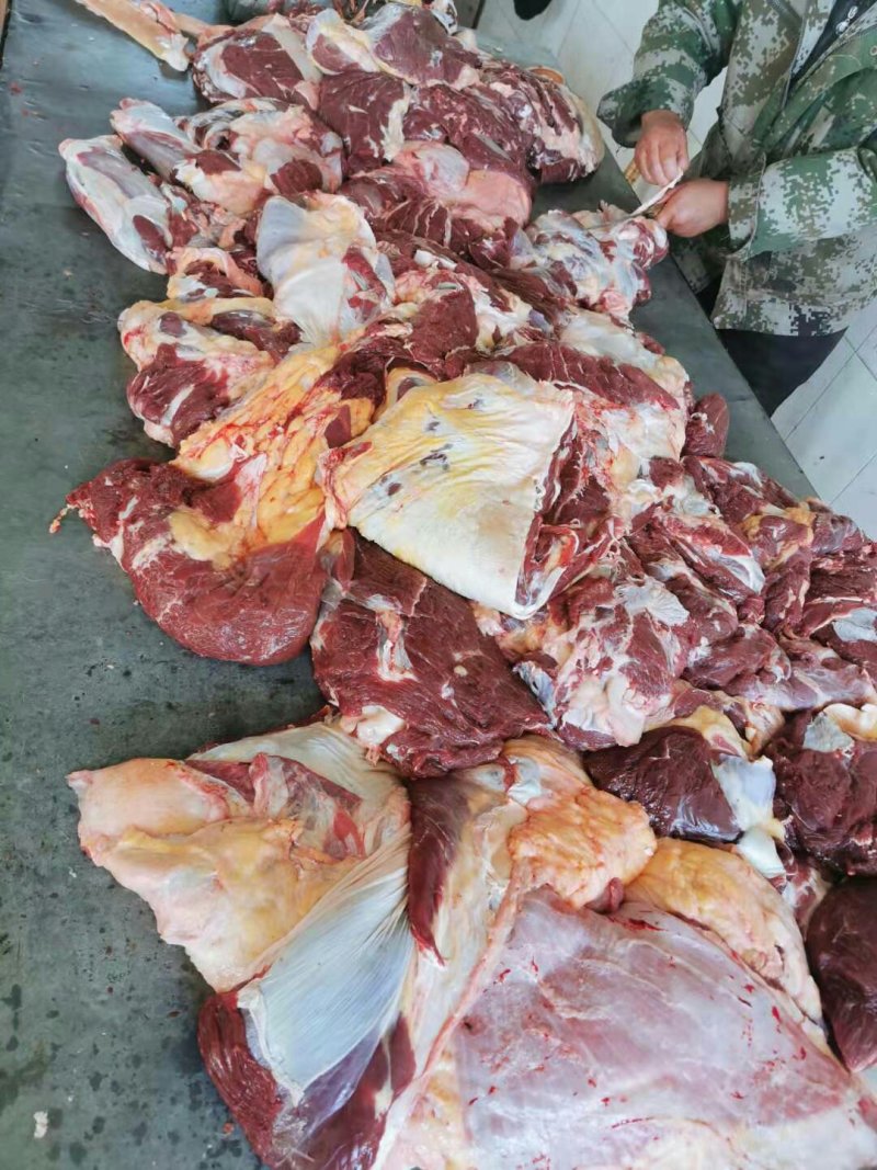 长年批发零售锡盟草地牛肉，照片实物拍摄质量保证