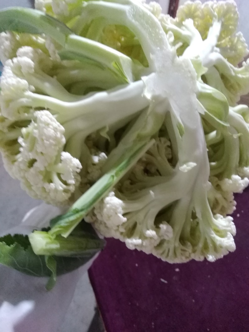 【热卖】花菜松花紧花全国直发菜价实时更新对接商超