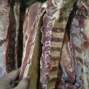 内蒙古锡林浩特草地牛排，照片实物拍摄质量保证
