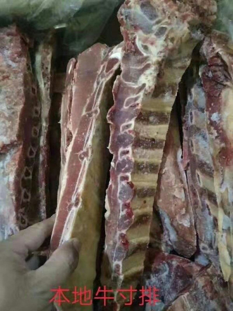 内蒙古锡林浩特草地牛排，照片实物拍摄质量保证