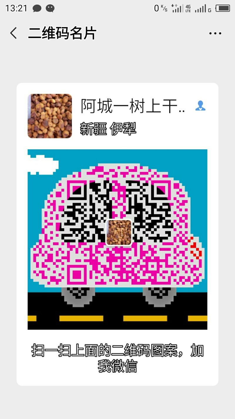 树上干杏法兰西梅干