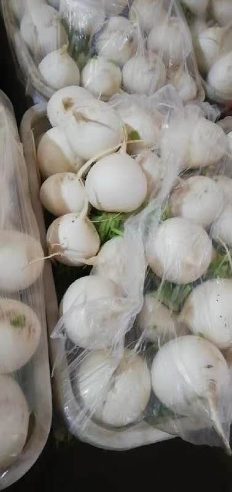 白萝卜，精品货出口贸易，电商，商超市场货都有