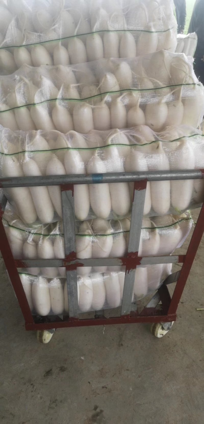 白萝卜，精品货出口贸易，电商，商超市场货都有