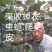 蝉蜕虫螁蝉壳蝉皮蝉衣金蝉壳金蝉皮知了壳知了皮爬叉壳爬叉皮