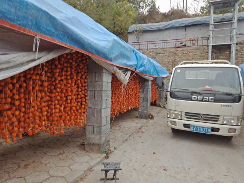 柿饼自产自销一手货源