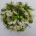 精品群鸣槐花.洋槐花青瓣.新鲜速冻盘古山特产.2斤一件
