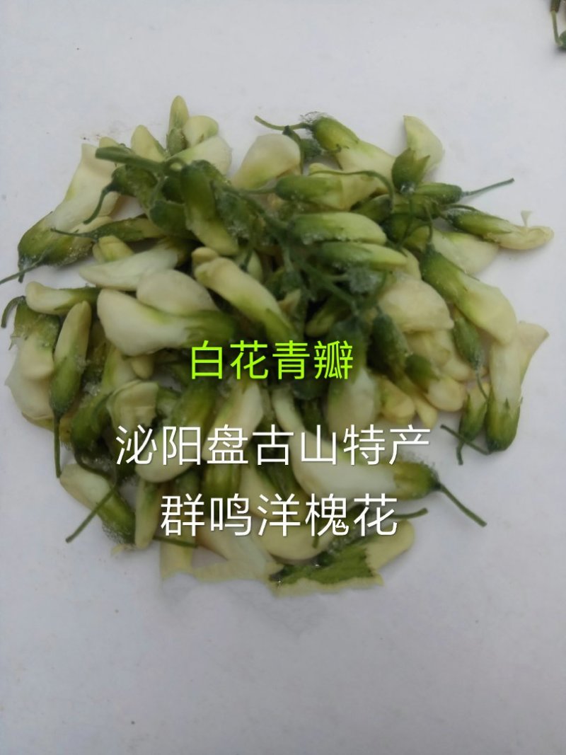 精品群鸣槐花.洋槐花青瓣.新鲜速冻盘古山特产.2斤一件