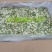 精品群鸣槐花.洋槐花青瓣.新鲜速冻盘古山特产.2斤一件