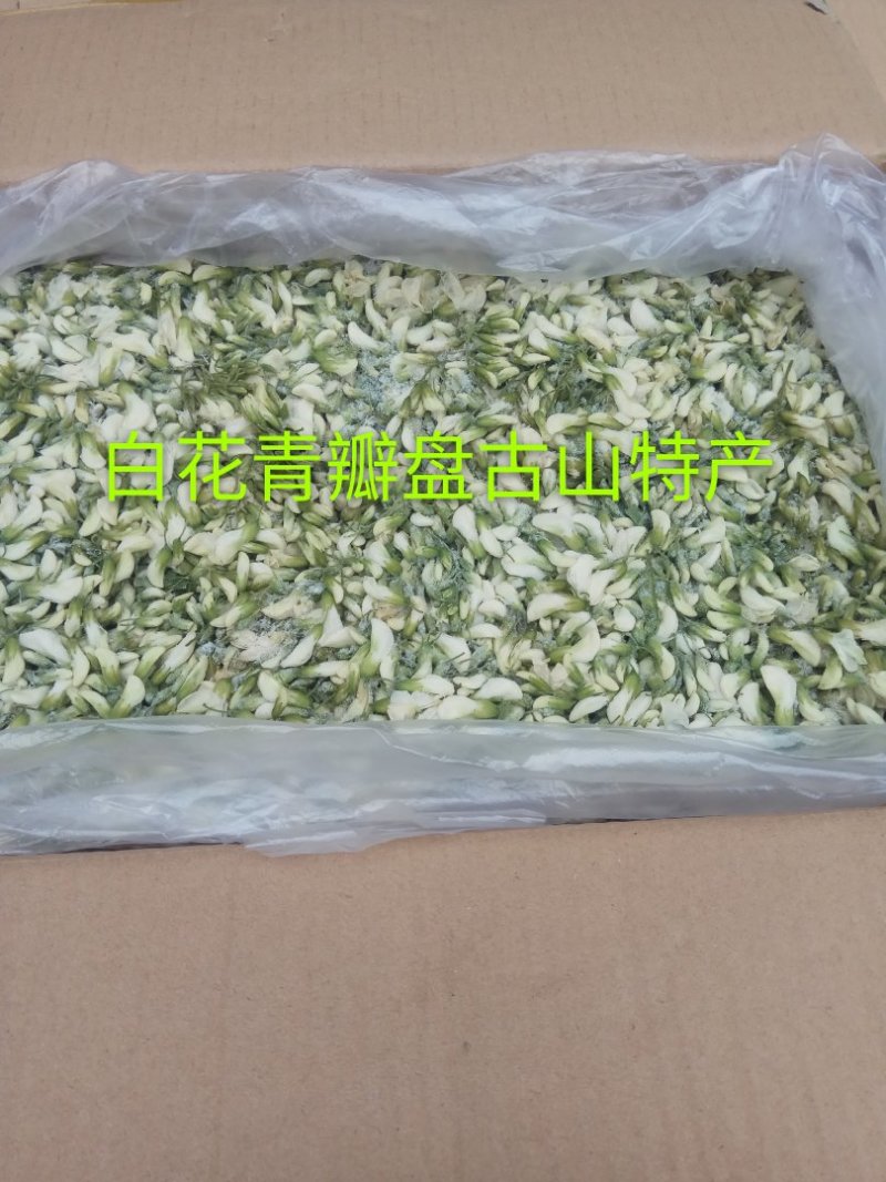 精品群鸣槐花.洋槐花青瓣.新鲜速冻盘古山特产.2斤一件