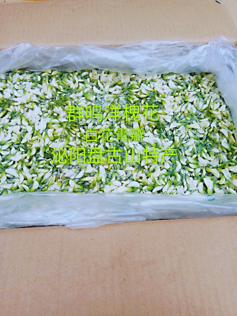 精品群鸣槐花.洋槐花青瓣.新鲜速冻盘古山特产.2斤一件