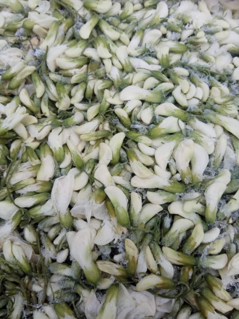 精品群鸣槐花.洋槐花青瓣.新鲜速冻盘古山特产.2斤一件