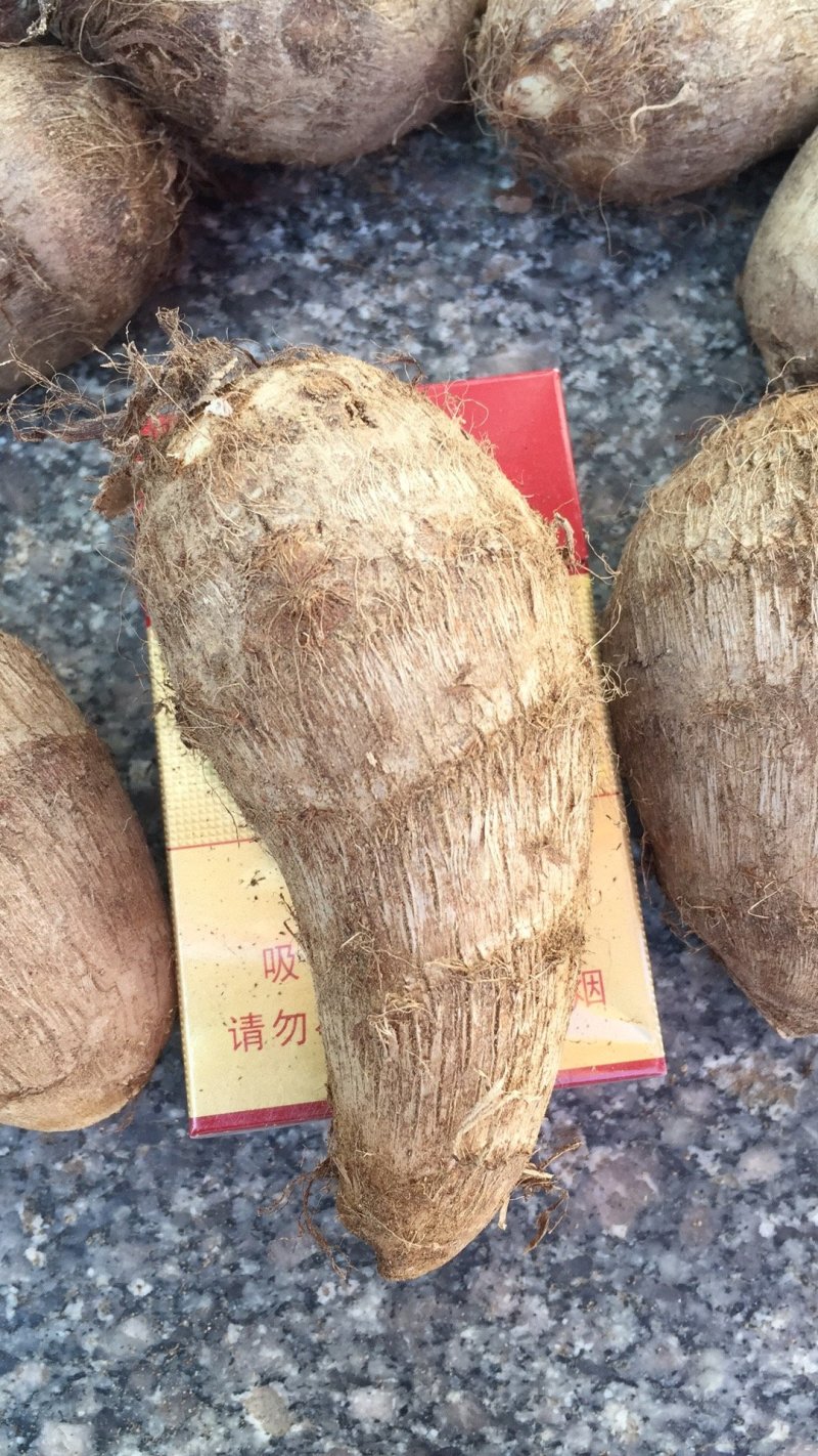 山东毛芋头8520粉糯香芋产地批发芋艿通货精品团购社区