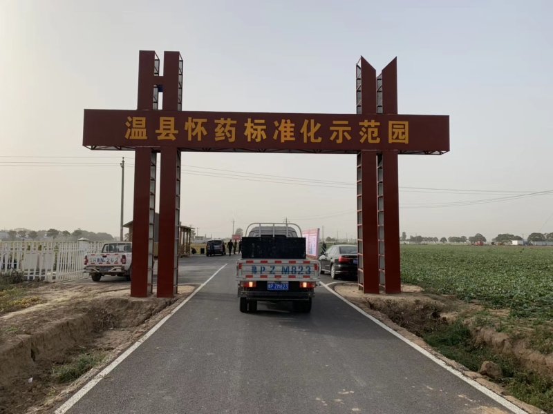 河南温县正宗垆土地铁棍山药，甘甜粉糯
