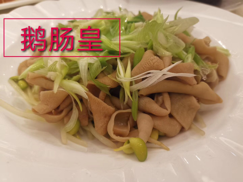 鹅肠皇