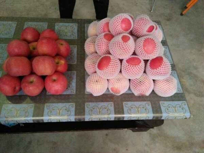 纸加膜水晶冰糖心苹果，脆甜可口一件代发，产地直销。