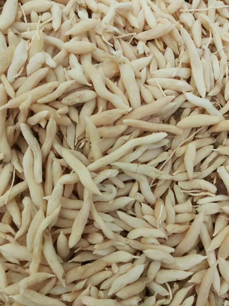 麦冬一级手工精选无坏果无硫磺无杂质纯干一件代发量大包邮