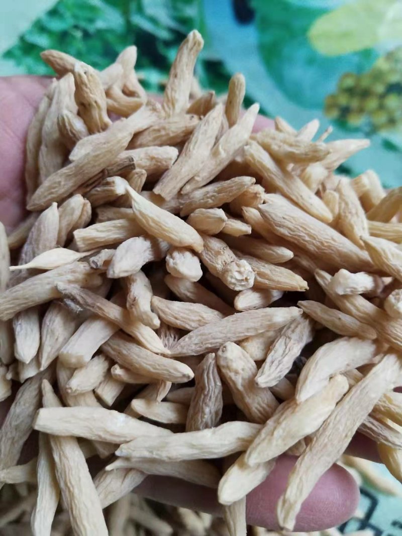 麦冬一级手工精选无坏果无硫磺无杂质纯干一件代发量大包邮