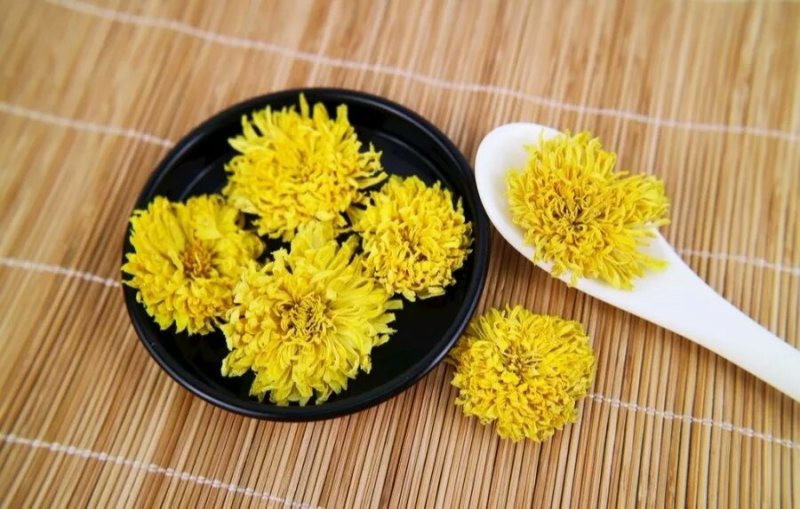 金丝黄菊