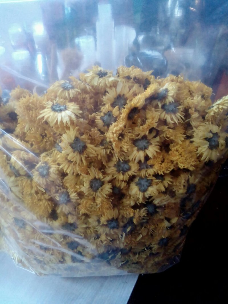 金丝黄菊