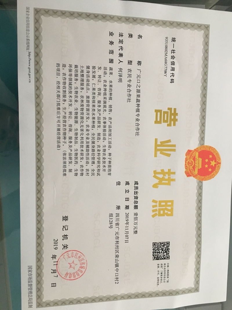 超市精品，供应无须豌豆尖，每次出货1000斤，欢迎定购