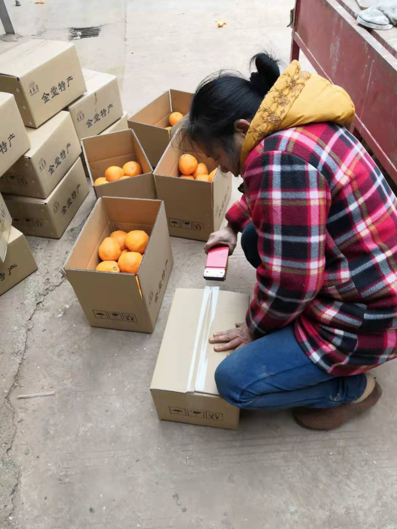 脐橙金堂脐橙可一件代发口感细嫩化渣，大量上市