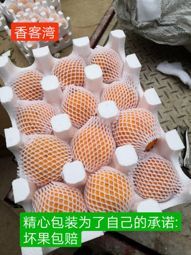 脐橙金堂脐橙可一件代发口感细嫩化渣，大量上市