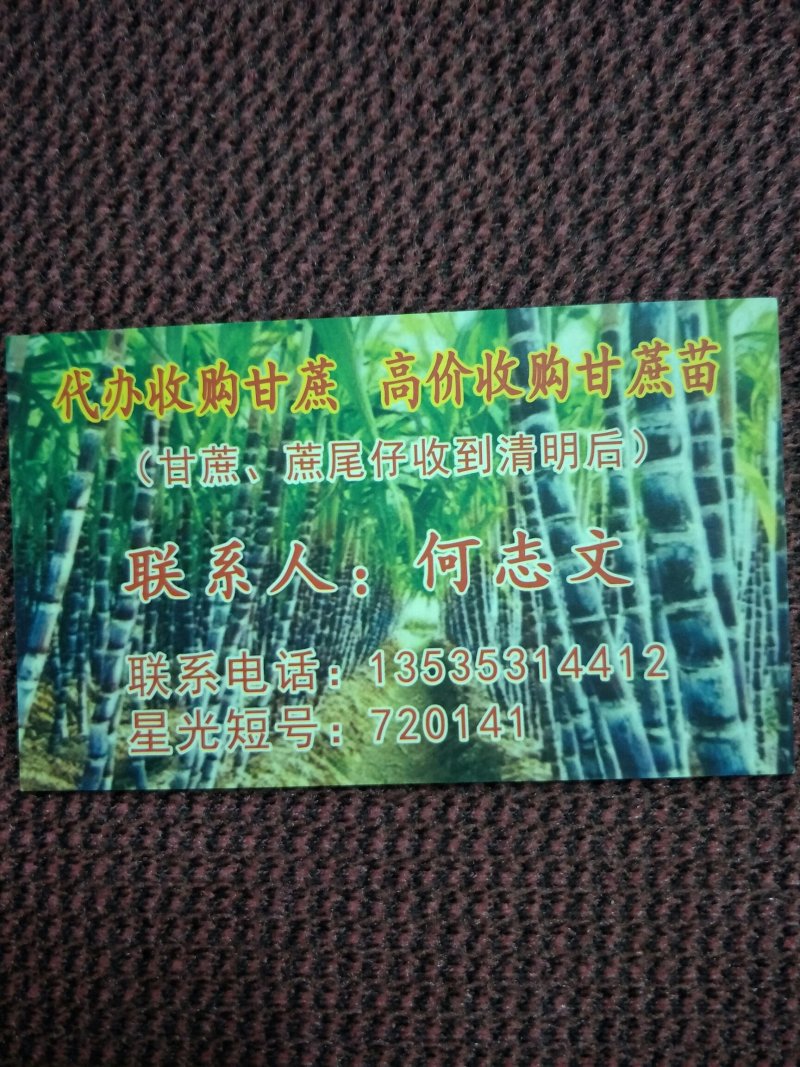 番禺甘蔗上市了，欢迎全国客户过来订购