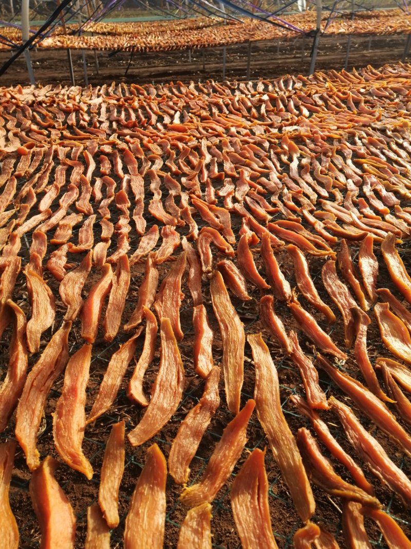烟薯25地瓜干，红薯干，老品种地瓜干