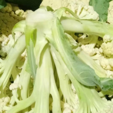 菜花