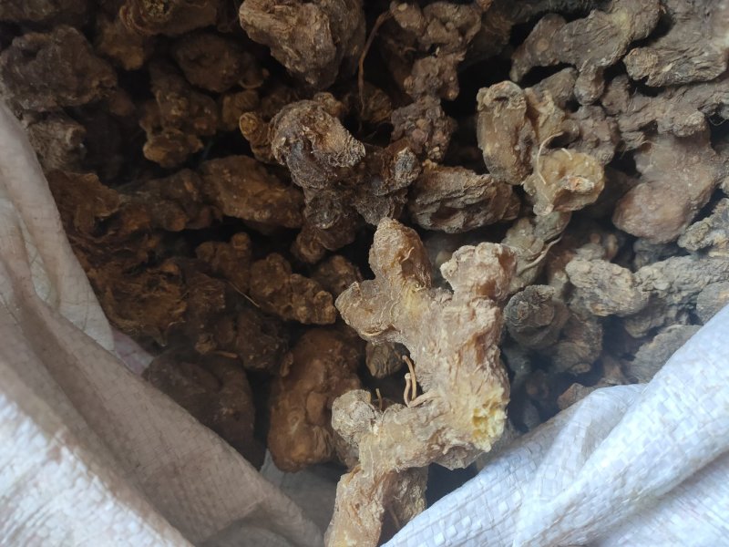 黄精
