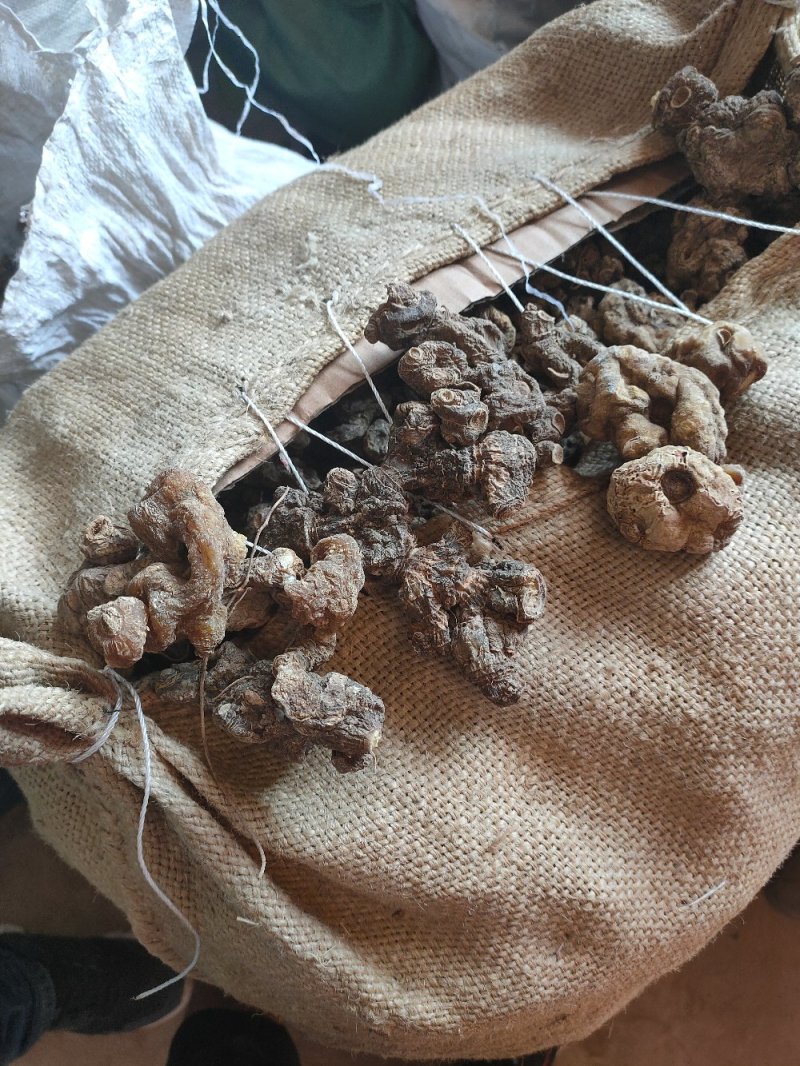 黄精