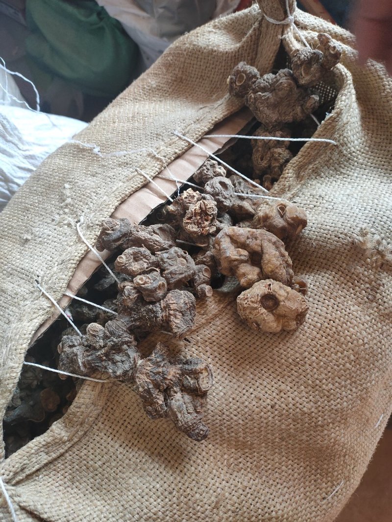 黄精