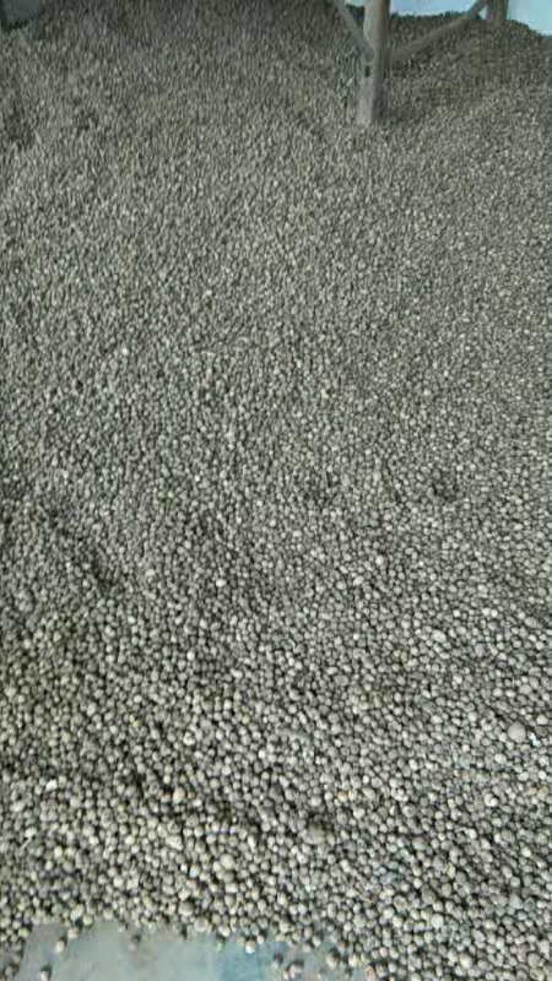 河北省柳叶旱半夏种球产量高抗病害无畸形