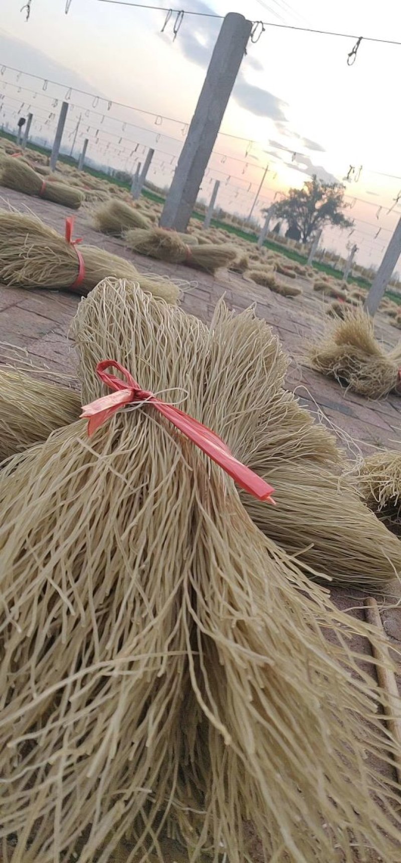 红薯粉条厂家直销品种多可定制宽度手续全质量好