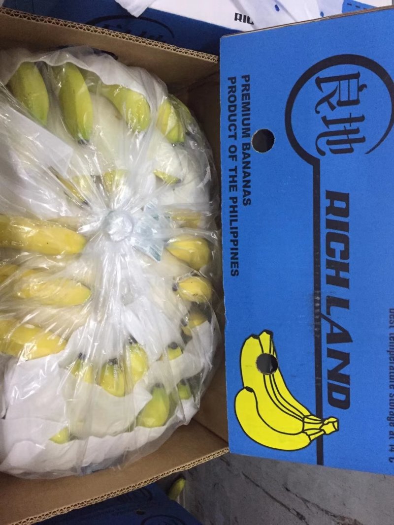 进口蕉菲律宾，国产蕉，广西，越南老挝