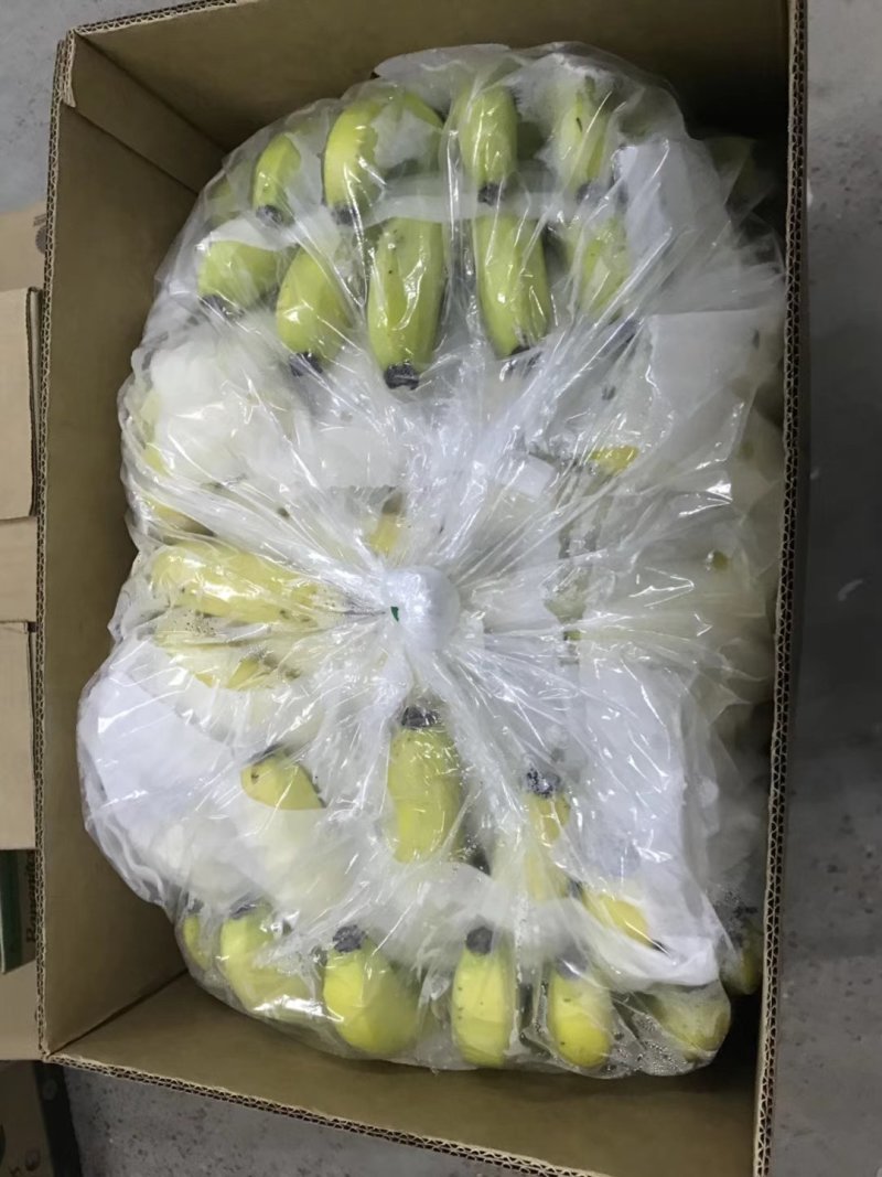 进口蕉菲律宾，国产蕉，广西，越南老挝