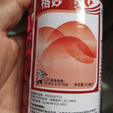 杀虫剂杀成虫幼虫菜蛾，蚜虫，烟粉虱，白粉虱，蓟马，棉玲