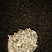 辛夷花中药材花类调料专用低于市场价质量有保证
