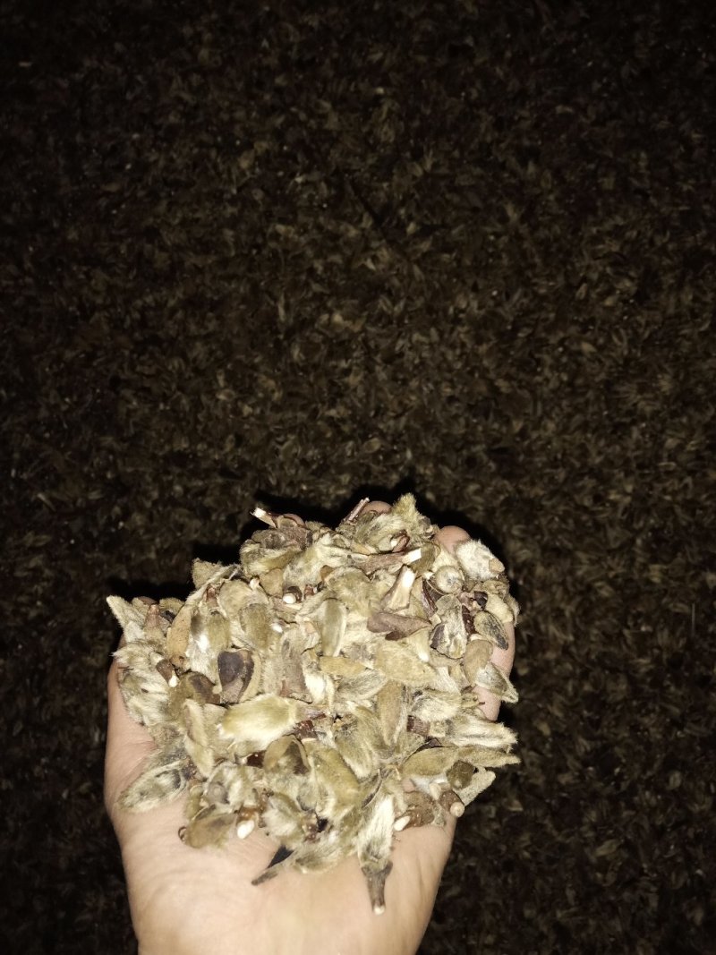 辛夷花中药材花类调料专用低于市场价质量有保证