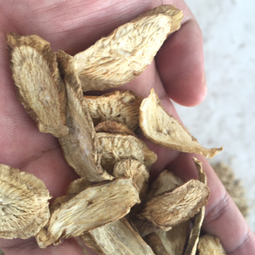 晒干/烘干牛蒡颗粒牛蒡切片山东兰陵苍山晾晒牛蒡个子牛蒡干