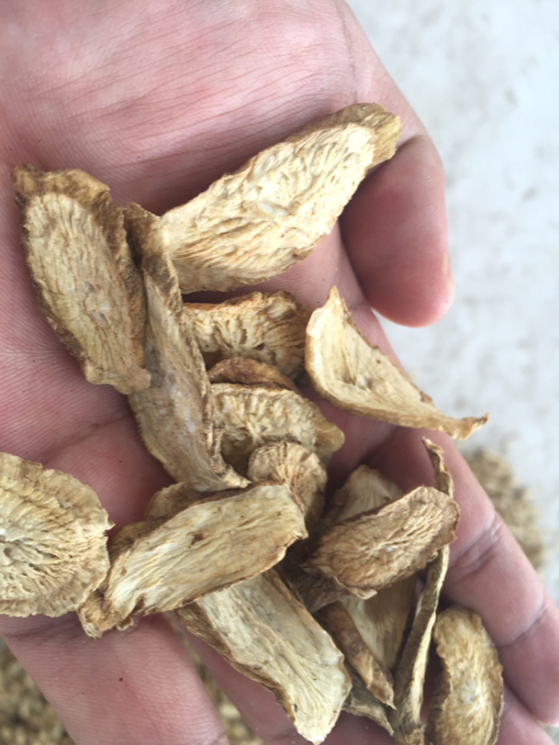 晒干/烘干牛蒡颗粒牛蒡切片山东兰陵苍山晾晒牛蒡个子牛蒡干