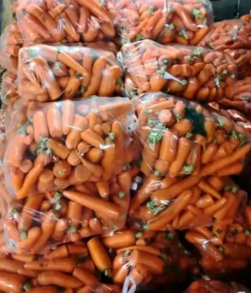 次品水洗红萝卜养殖场专用大量有货万亩种植胡萝卜