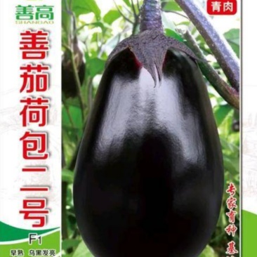 【善茄荷包二号】茄子种子早熟杂交耐病高产乌黑光亮基地包邮