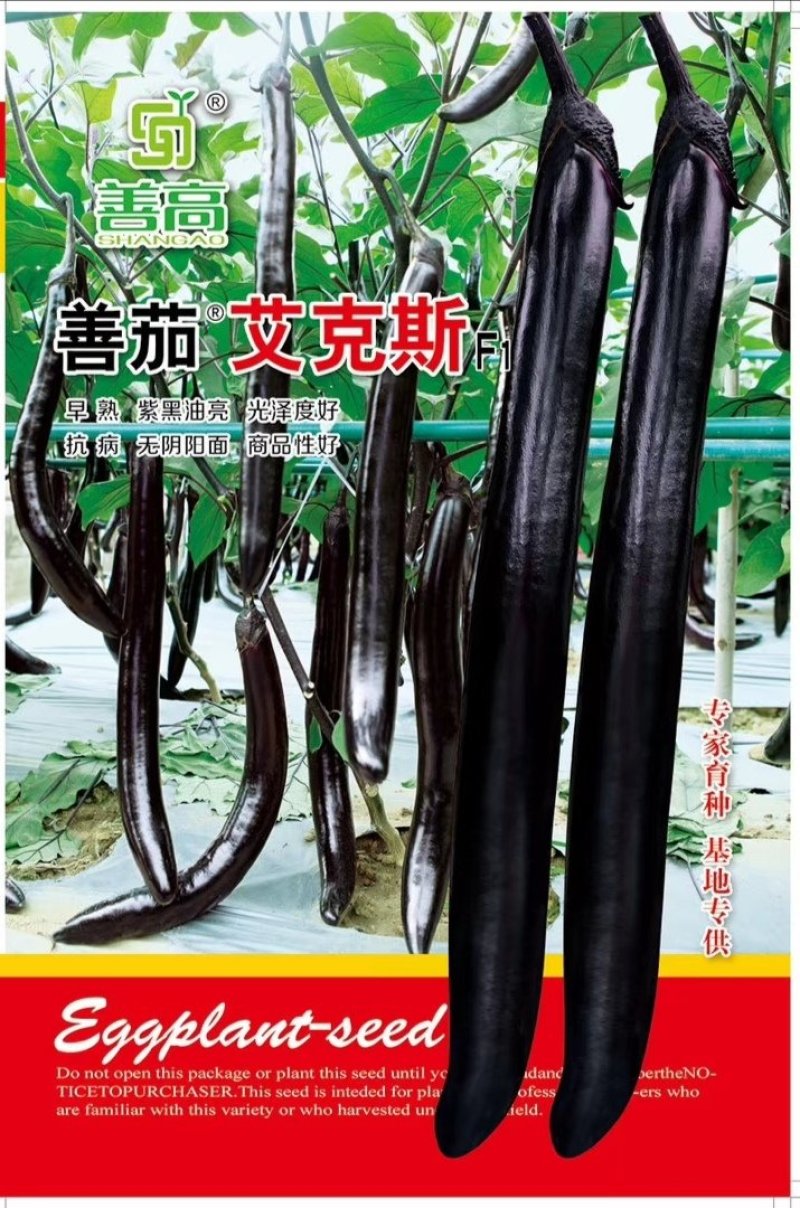 善高【艾克斯】杂交茄子种子早熟紫黑油亮无阴阳面高端茄子种